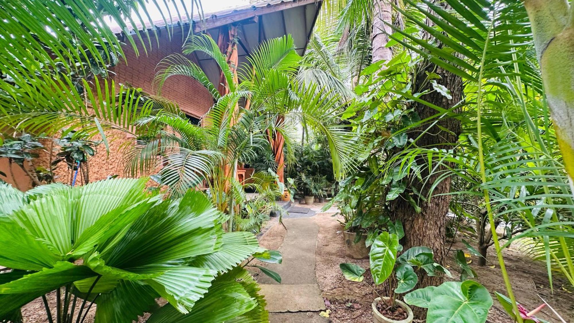Ama Eco Lodge Sigiriya Buitenkant foto