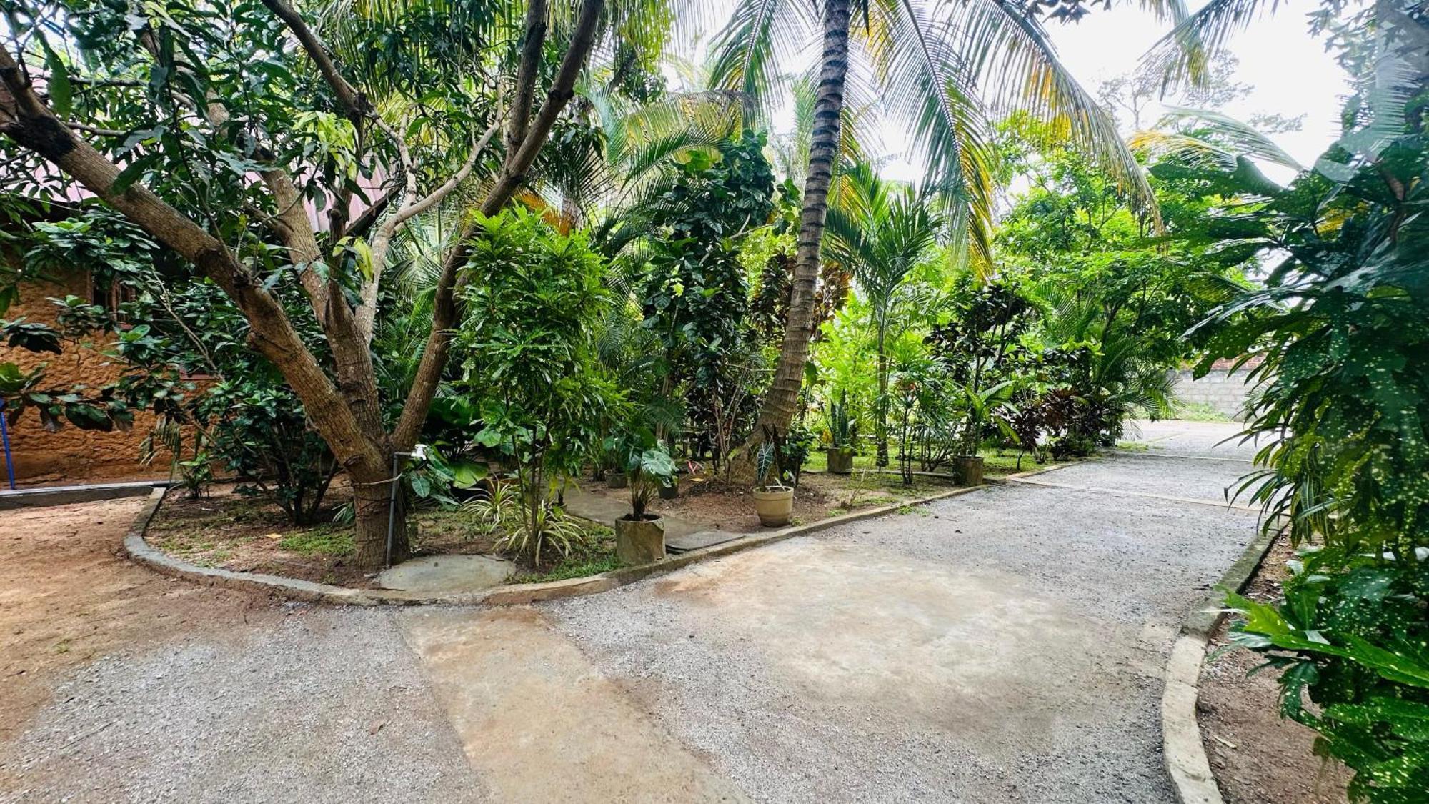 Ama Eco Lodge Sigiriya Buitenkant foto
