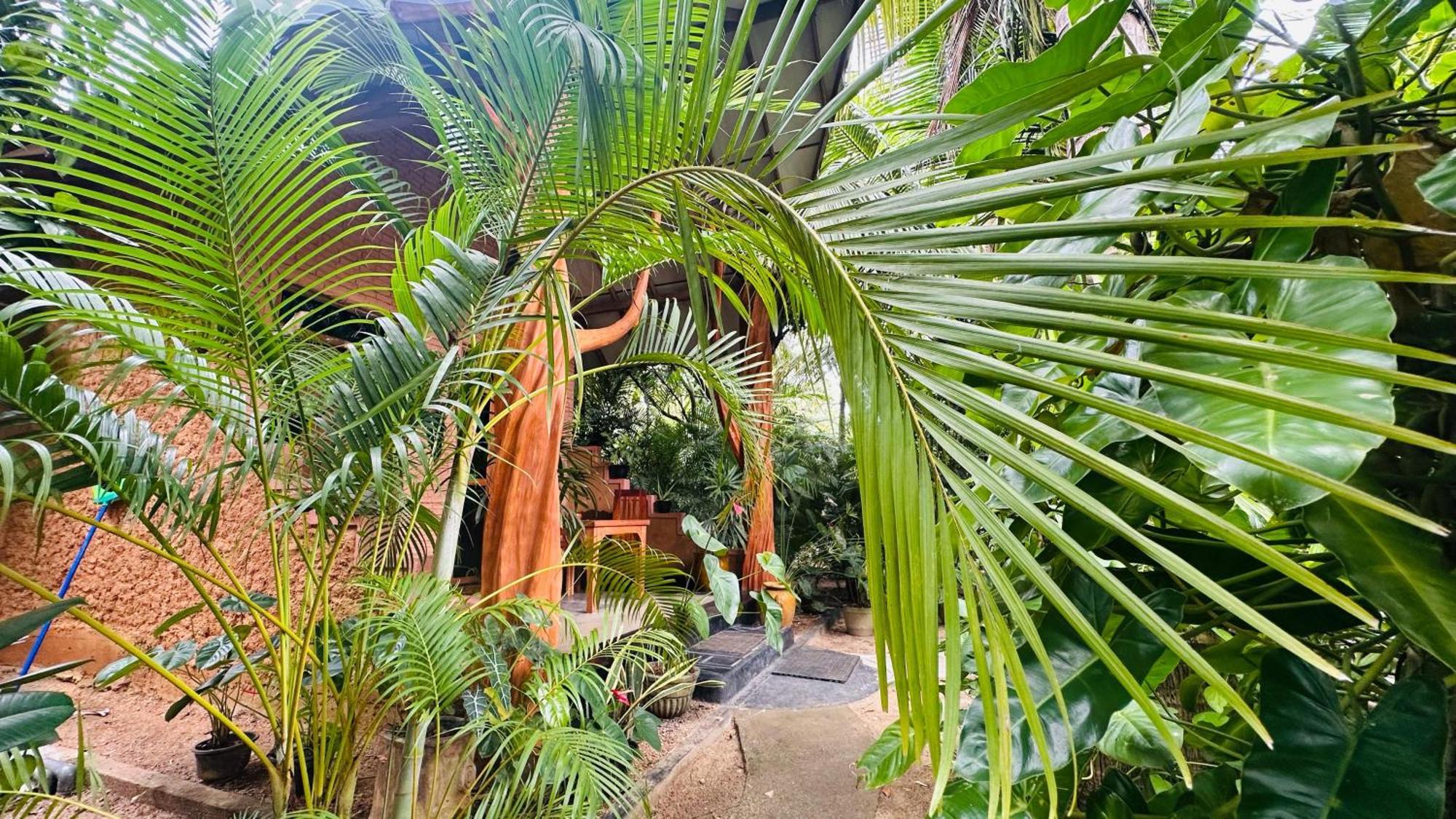 Ama Eco Lodge Sigiriya Buitenkant foto